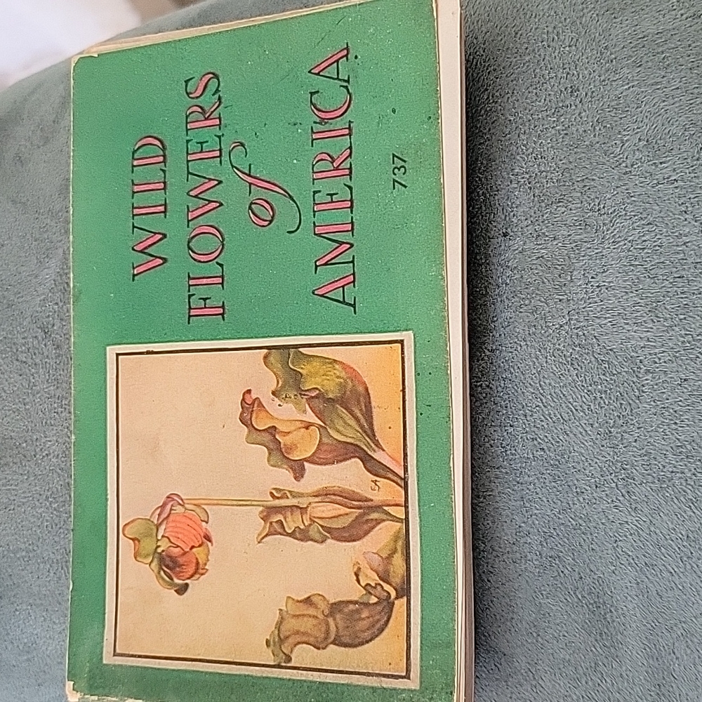 Vintage book on flowers